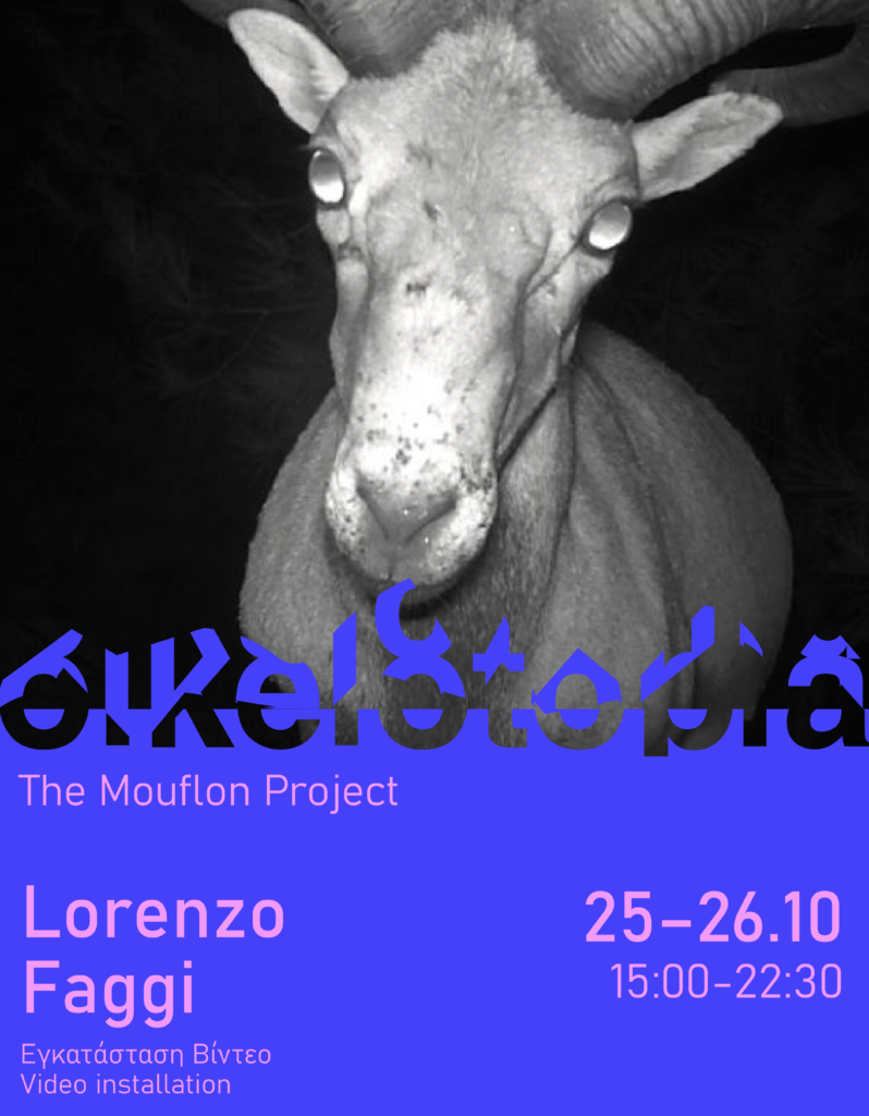 Lorenzo Faggi- The Mouflon Project